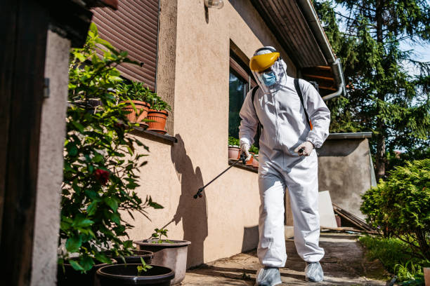 Best Flea Control Services  in White Settlement, TX