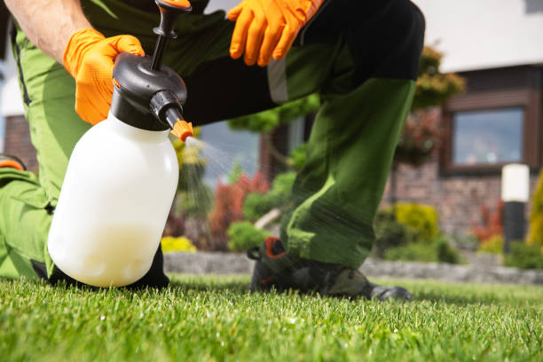 Best Residential Pest Control  in White Settlement, TX