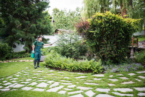 Best Residential Pest Control  in White Settlement, TX
