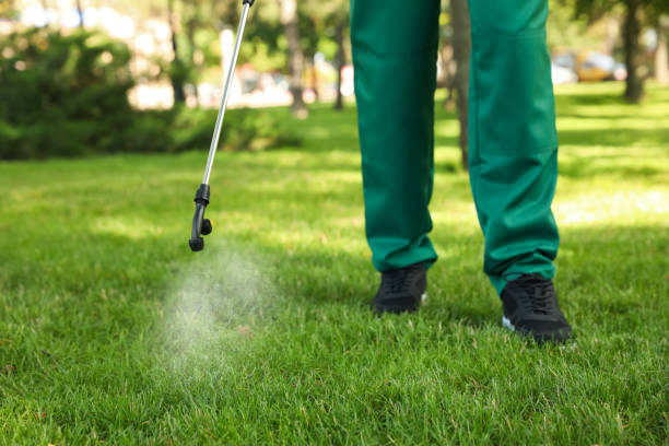  White Settlement, TX Pest Control Pros