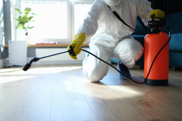 Trusted White Settlement, TX Pest Control Experts